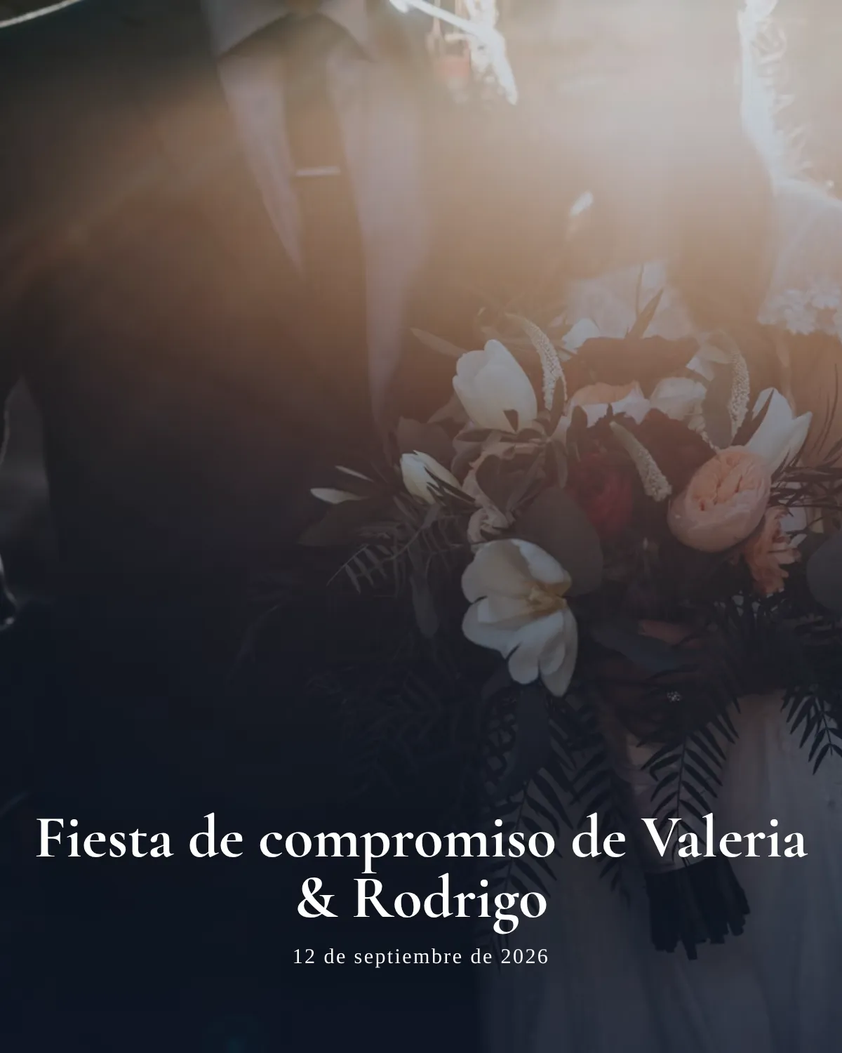 Vista previa de Fiesta de compromiso Editorial