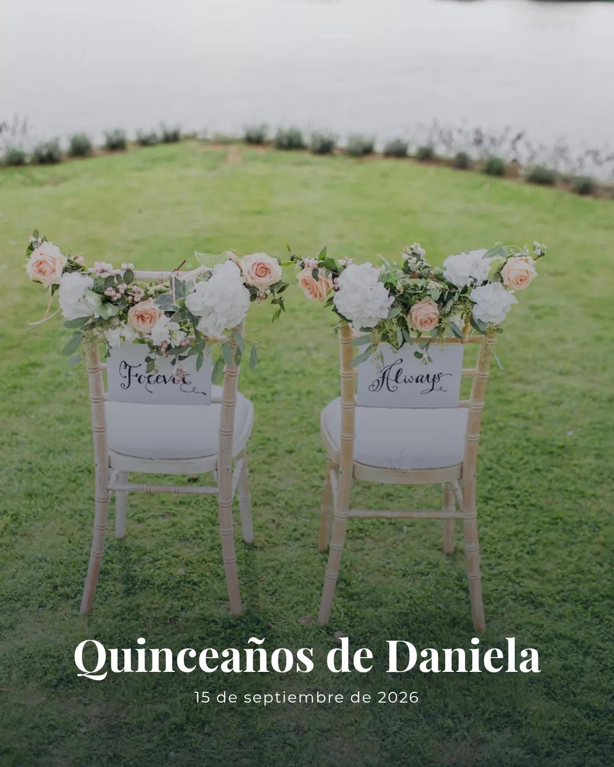Vista previa de Quince Años Brillo Clásico
